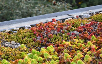 the cost of Rhosygadfa green roof installation