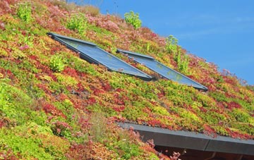 Rhosygadfa living roof systems