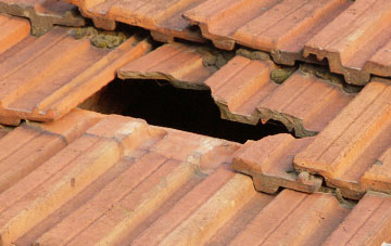roof repair Rhosygadfa, Shropshire